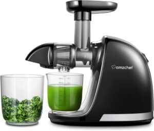 AMZCHEF Slow Masticating Juicer