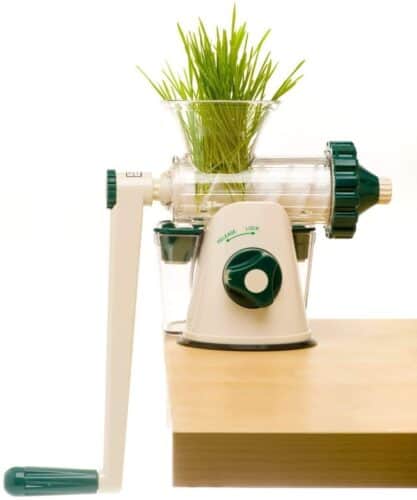 Best Juicers Reviews and Buying Guide 10 healthy juicer lexen gp27